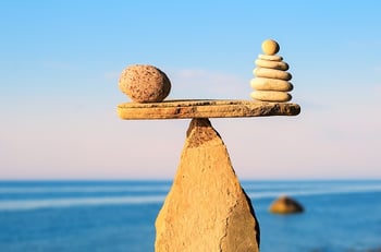 Balancing Marketing Services and Marketing Software